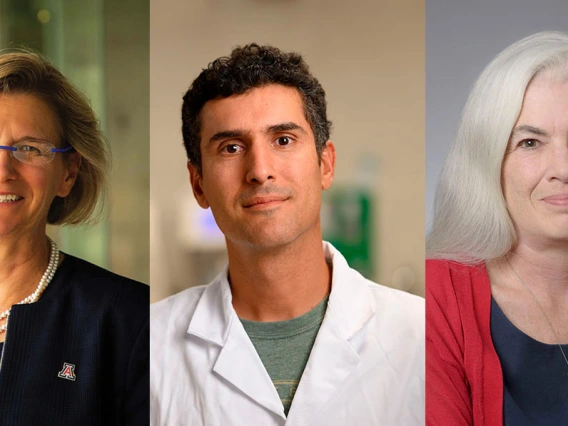 head shots of the three awardees