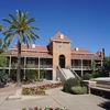 A green palm tree sways in the wind in front of a red brick building.